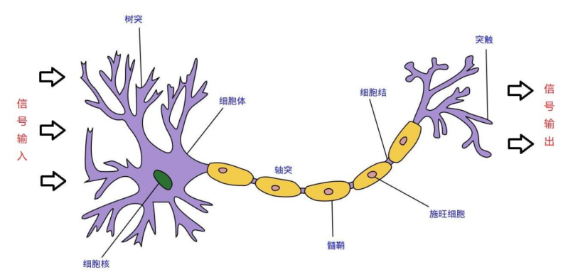 機器的未來——漫談人工智能與意識(圖6)