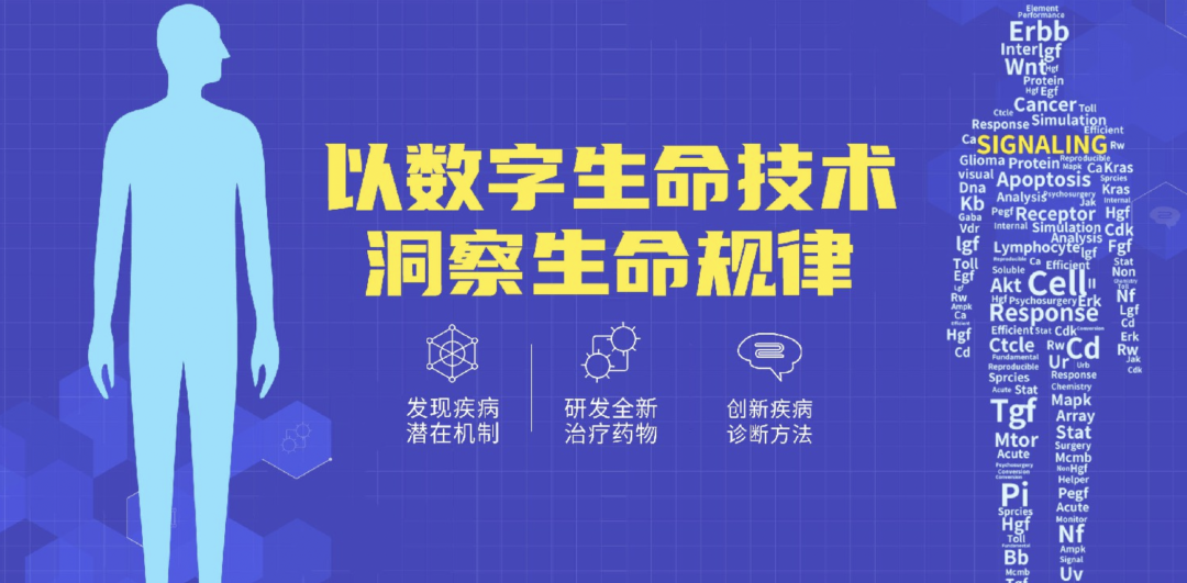 讓AI造一款新藥有多難？(圖5)
