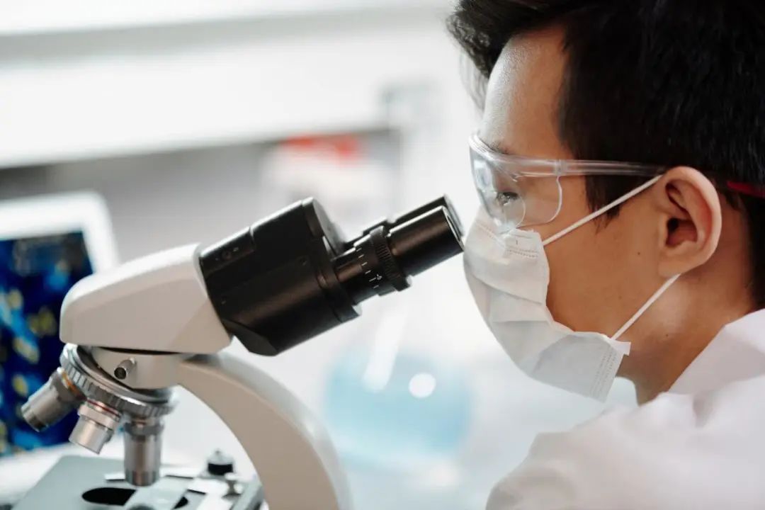 探尋隱藏的彩蛋：生物技術(shù)解鎖進(jìn)化的奧妙(圖2)